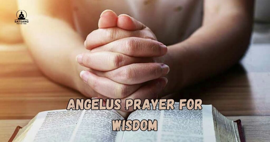 Angelus Prayer for Wisdom